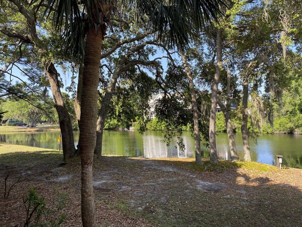 Terrain de l’hébergement 