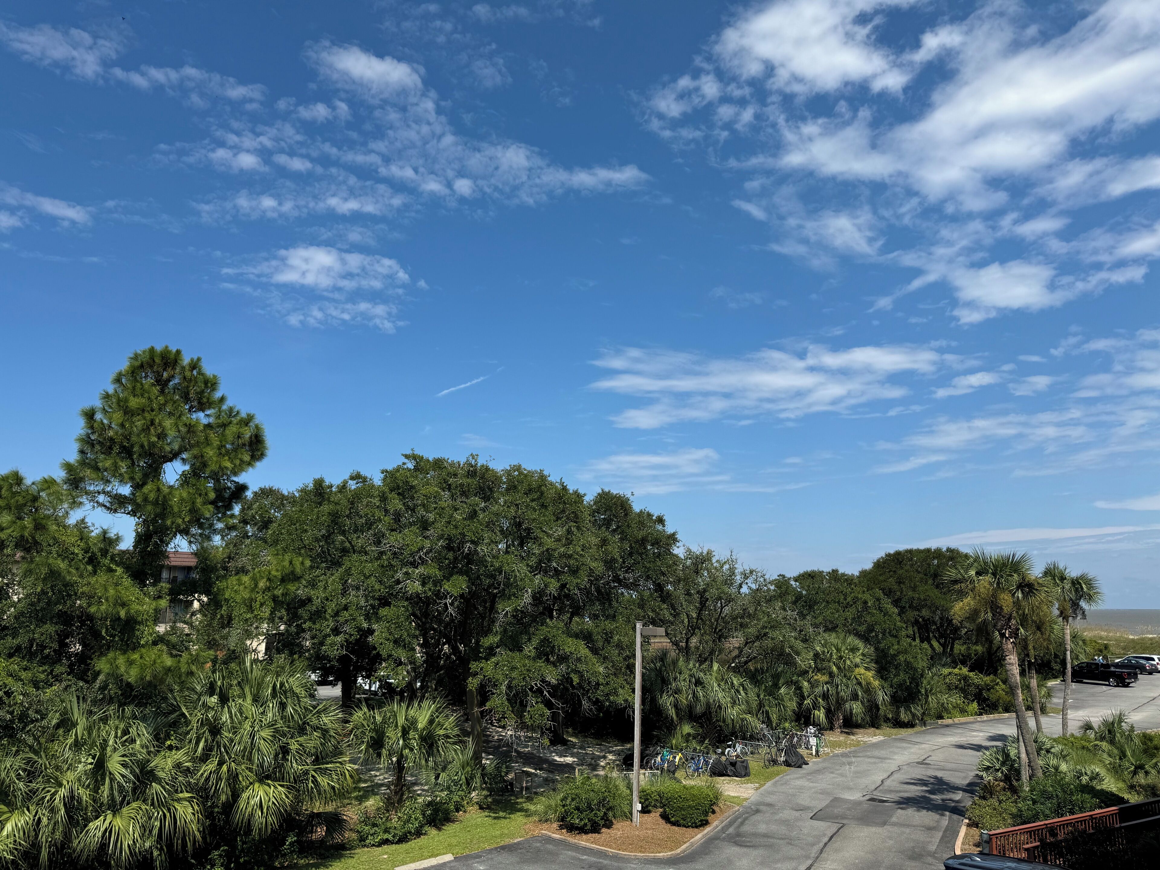 A parking area with trees and a clear sky.