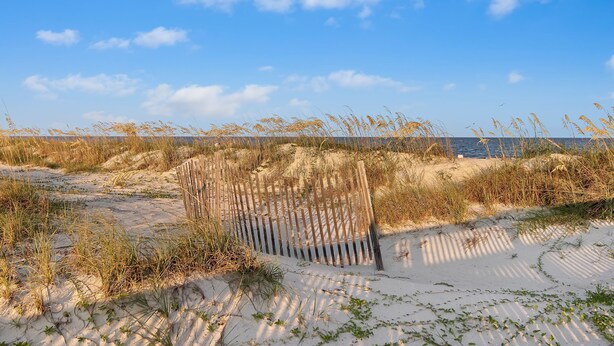 In Strandnähe