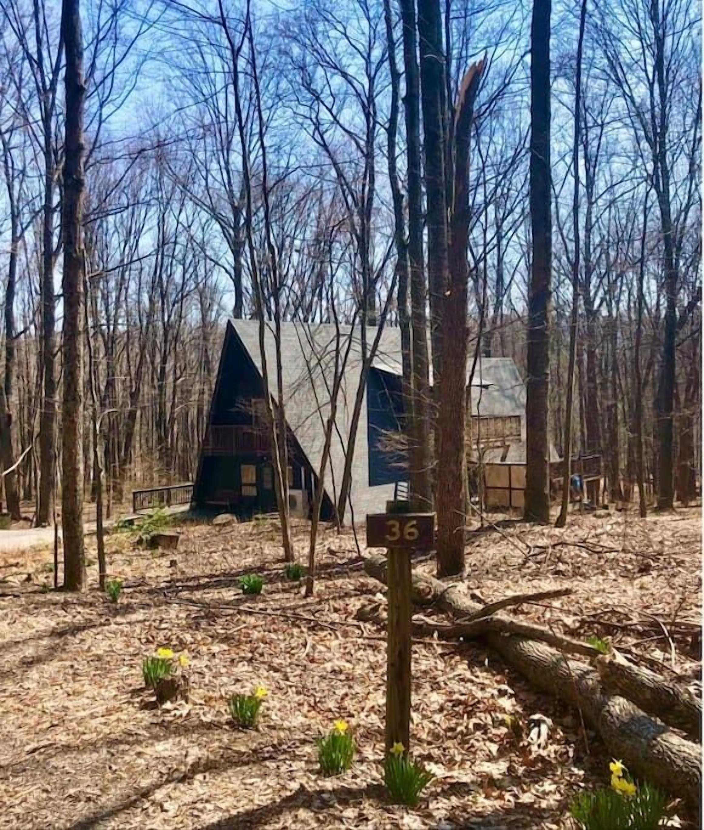 Shady Grove- Private Hot Tub