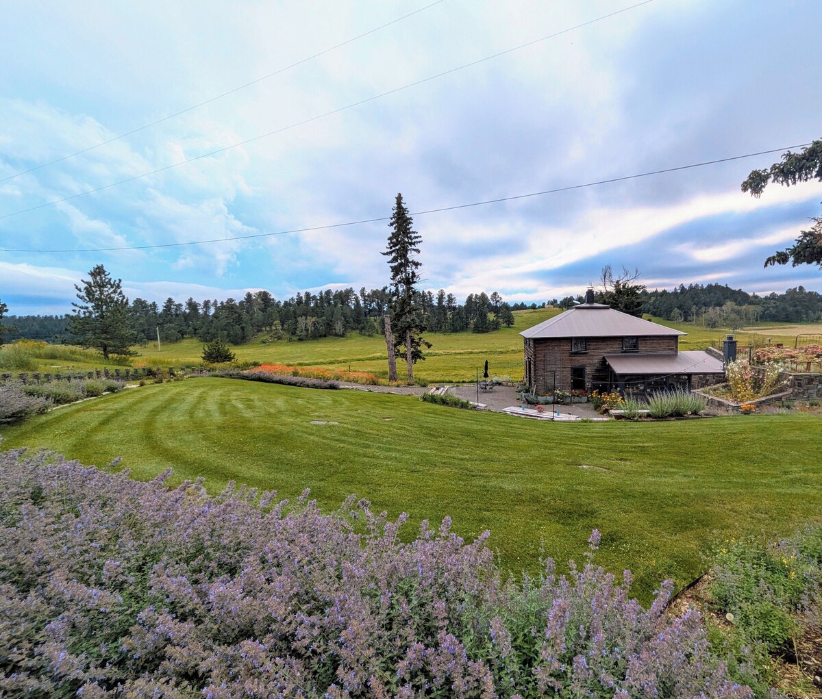 Værtens profilbillede