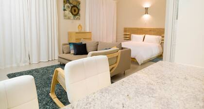 Kingsway New Kingston Guest Apartment II