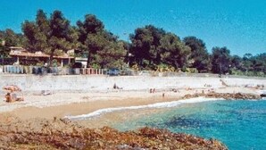 A beach with clear blue water, sandy shore, and trees in the background.