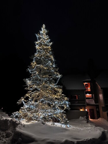 Cozy, relaxing condo overlooking Whiteface Club Resort near Jackrabbit trail.