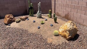 Un jardí desert ple de cactus i roques.