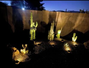 Ein Nachtblick auf einen Garten im Wüstendesign, mit verschiedenen Kakteen, die durch künstliche Beleuchtung erhellt werden.