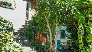 Área da propriedade