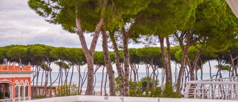 A coastal view with trees and a building in the background.