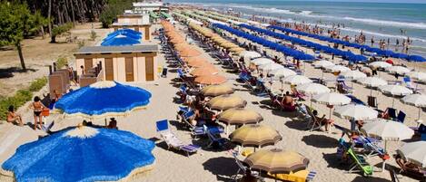 A beach with rows of sun loungers and umbrellas, a clear sky, and the ocean in the background.