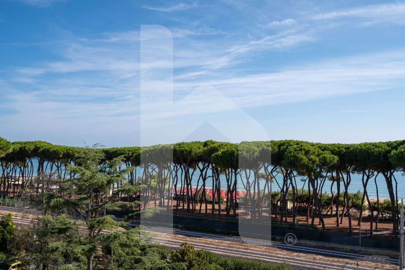 A coastal road lined with trees and a clear blue sky.