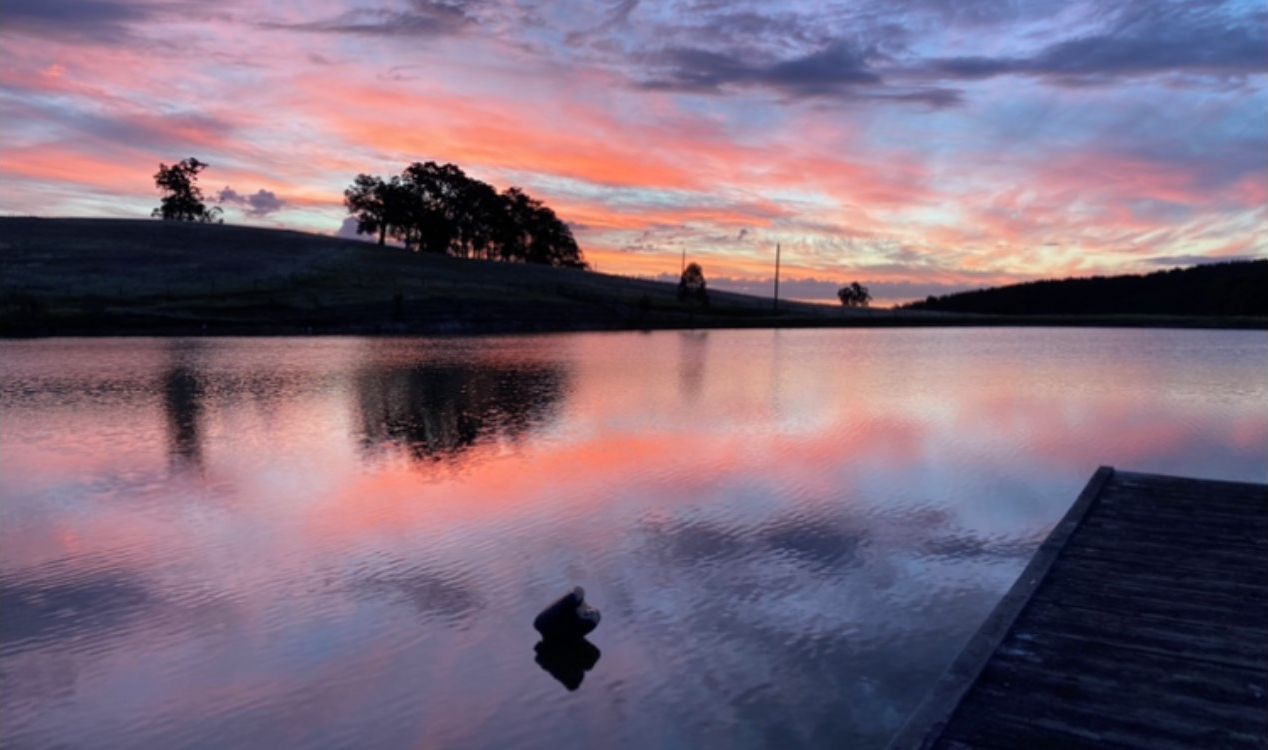 A calm lake with a wooden dock, surrounded by trees and a sunset sky.