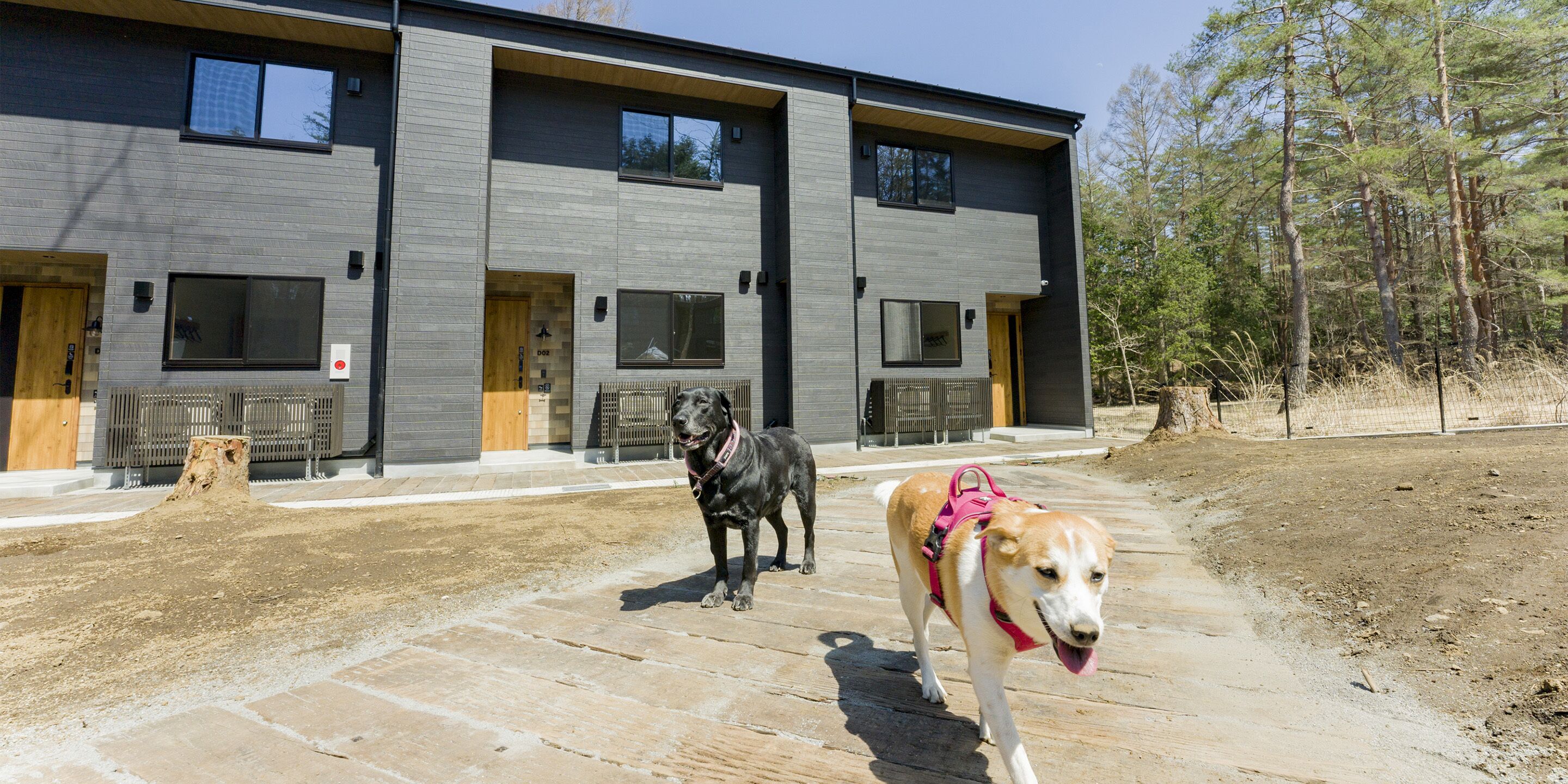 A modern building with a flat roof and large windows.