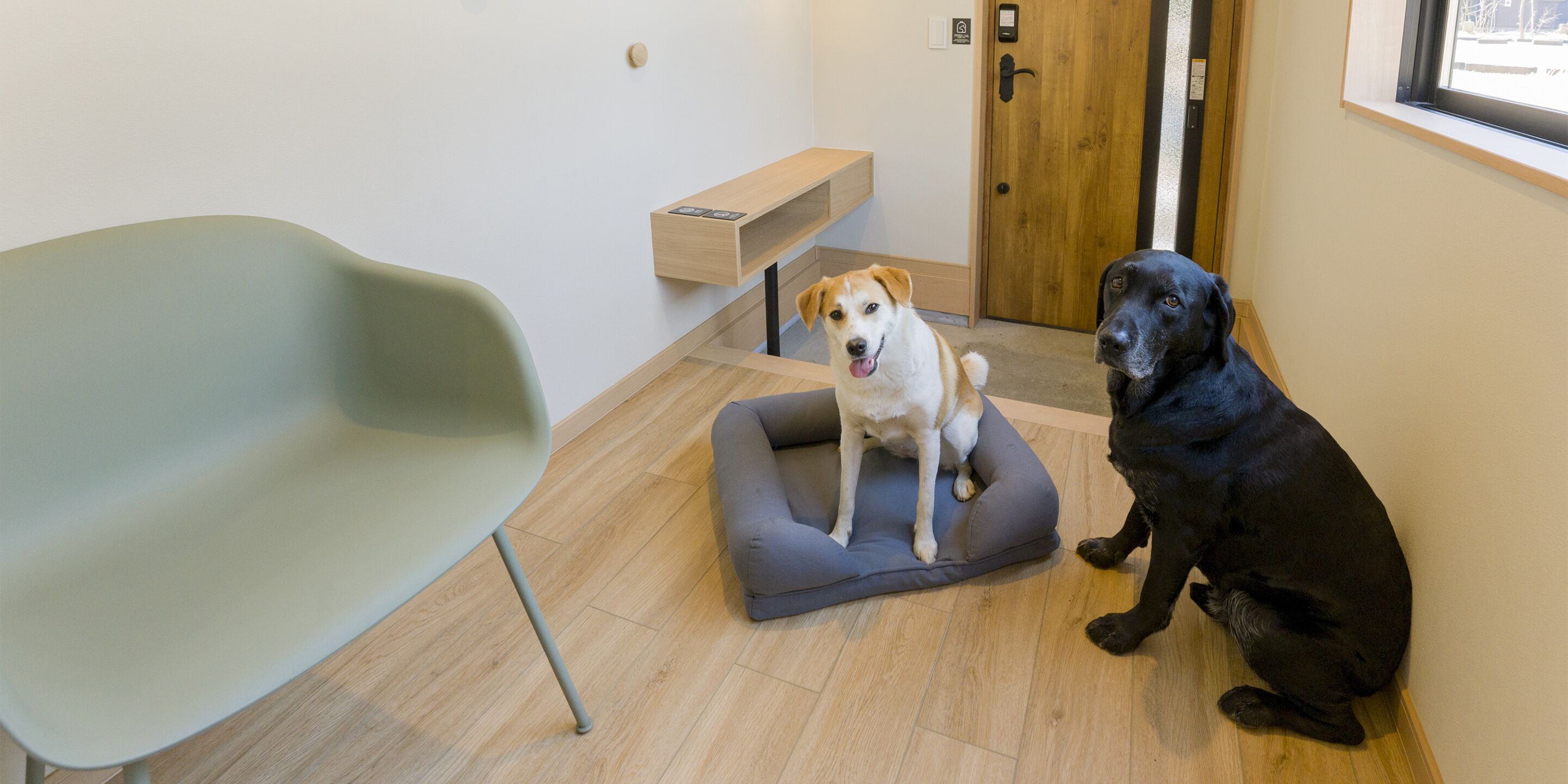 A modern interior with a light-colored chair, a gray pet bed, and a wooden door.