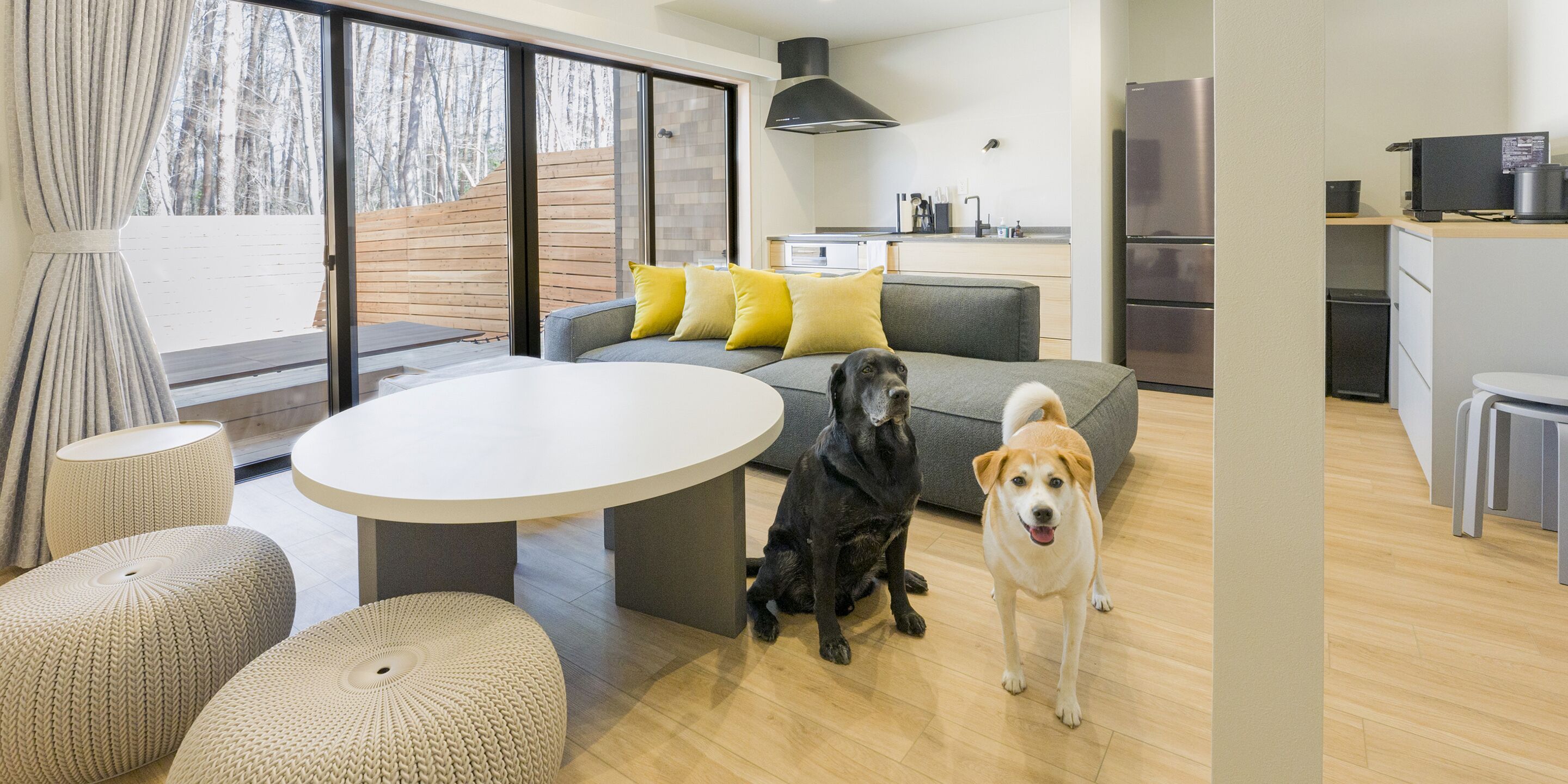 A modern living room with a round table, grey sofa, and ottomans. Two dogs are present, one sitting and one standing.