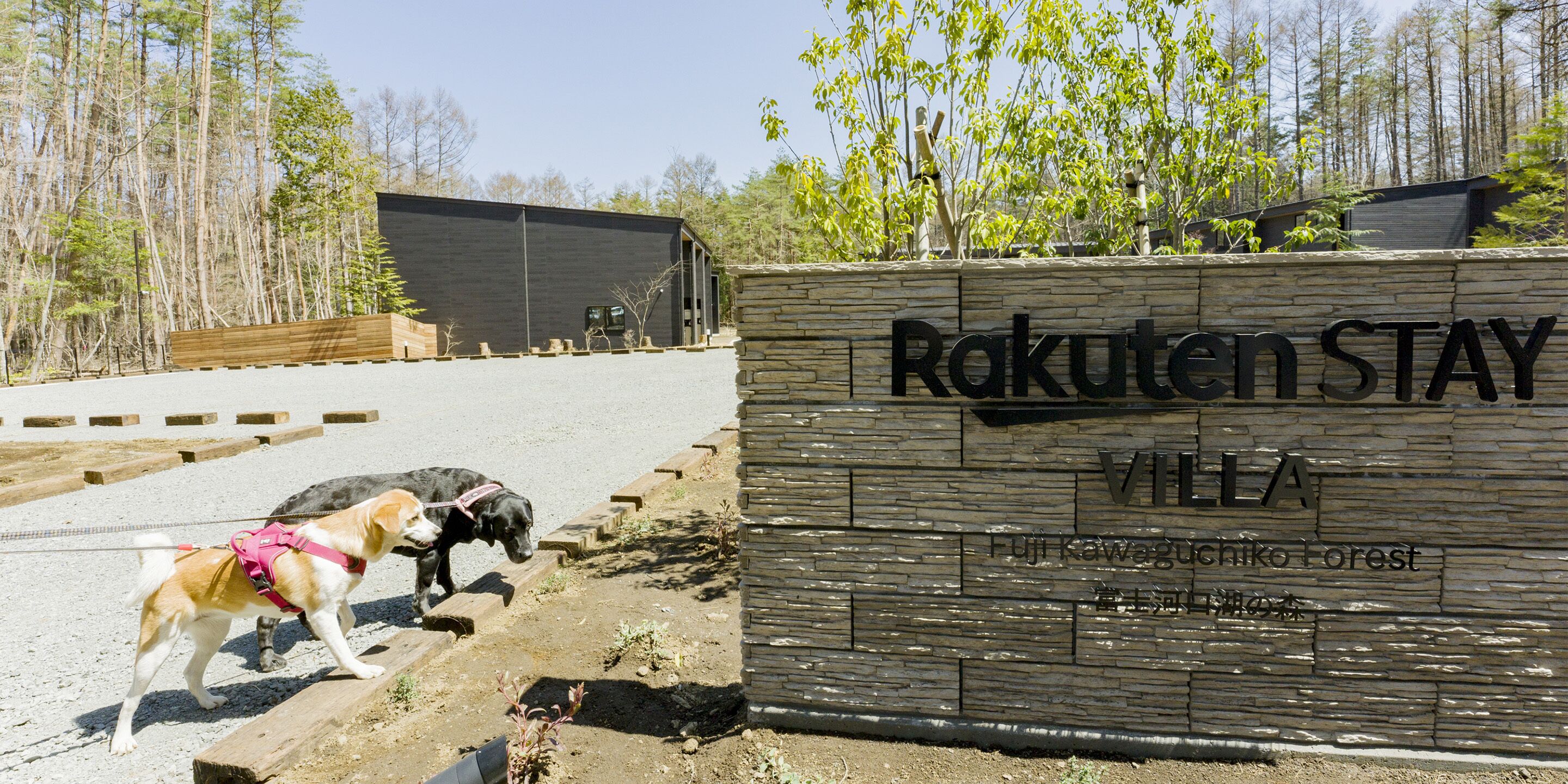 Een houten bord met de tekst 'Rakuten Stay Villa' en 'Fujikawaguchiko Forest', een hond aan de lijn, en een bebost landschap op de achtergrond.