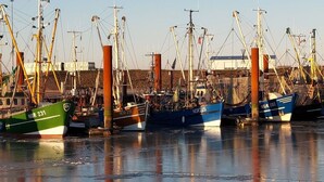 Un puerto con varios barcos de pesca amarrados, algunos con números de identificación visibles.