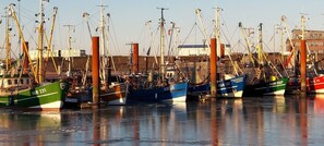 Ein Hafen mit mehreren vor Anker liegenden Fischerbooten, einige mit erkennbaren Kennnummern.