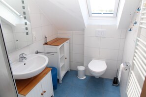 Regadera y secadora de cabello 