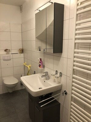 Dusche, Haartrockner