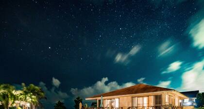 palmvilla ishigakijima karei