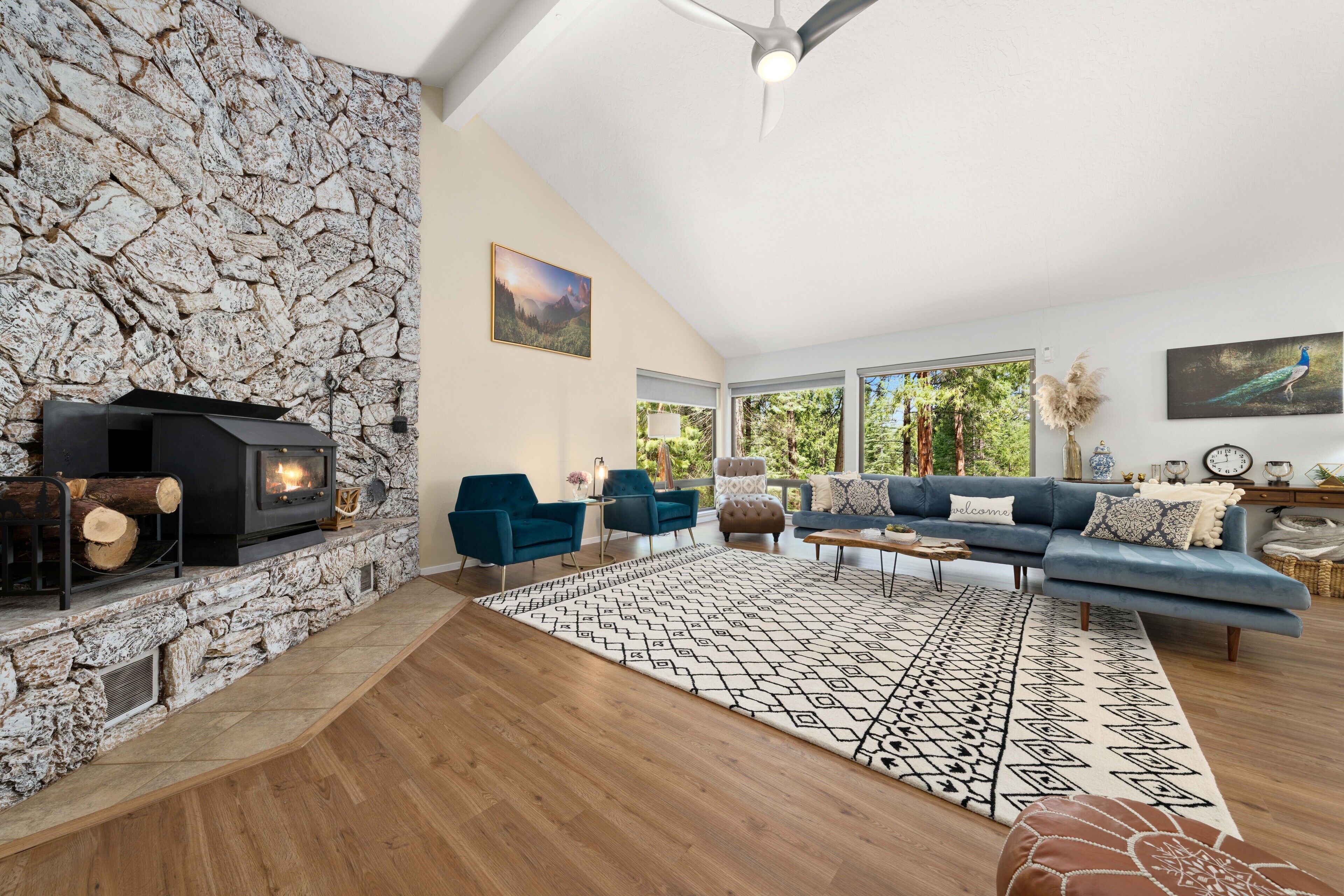 Smart TV, fireplace, books