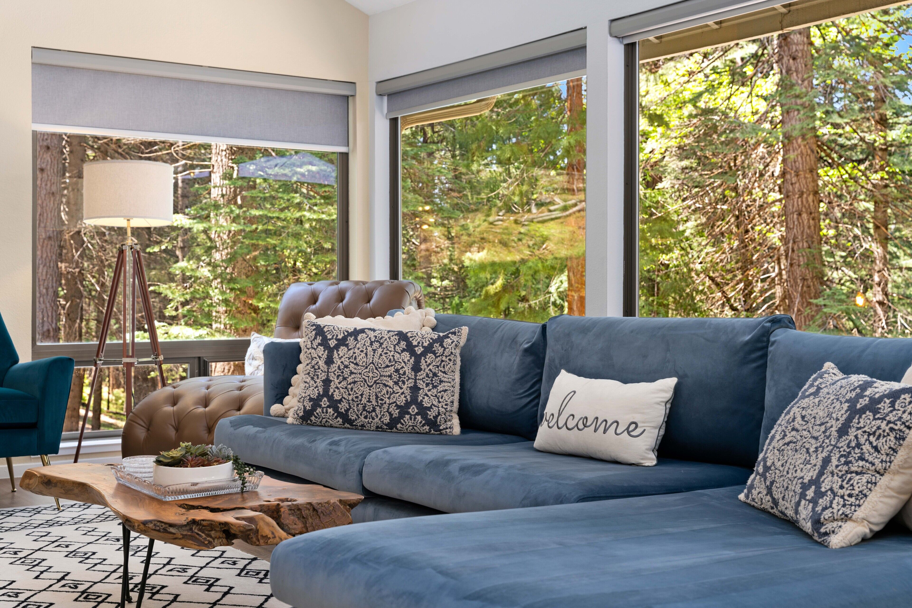 TV connectée, cheminée, livres