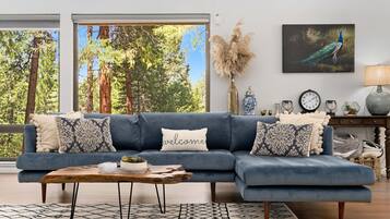 Smart TV, chimenea y libros