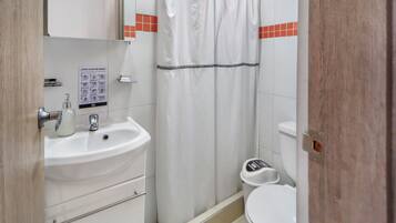 Een badkamer met wastafel, spiegel, toilet en douchegordijn.