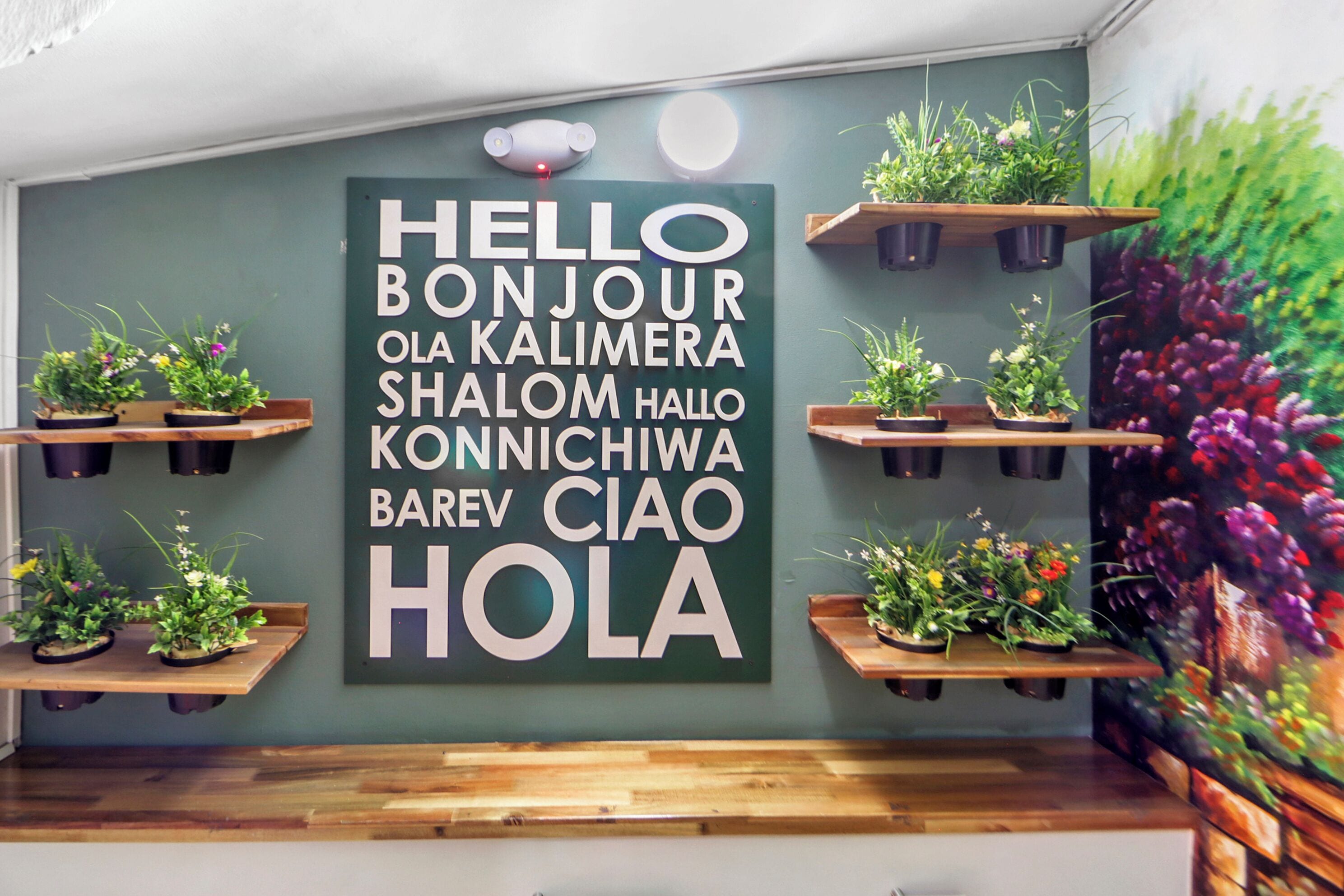 Foto - Hotel de la Salle