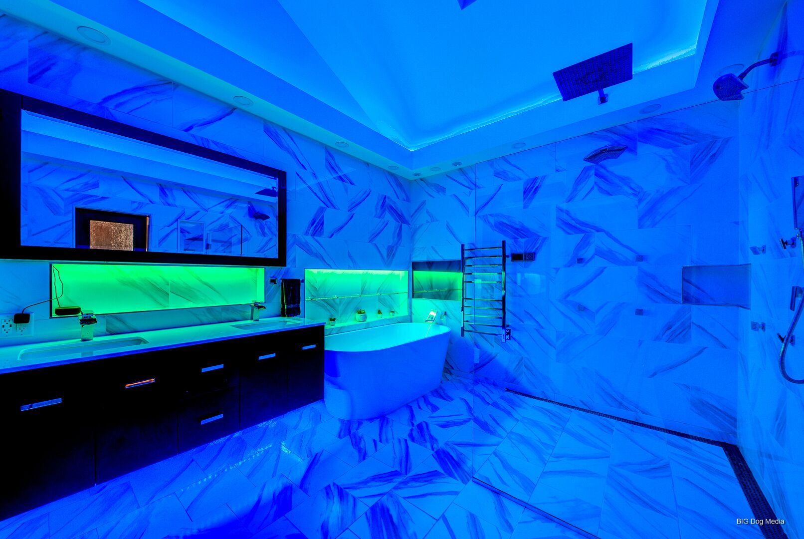 Combined shower/tub, hair dryer, bidet, towels