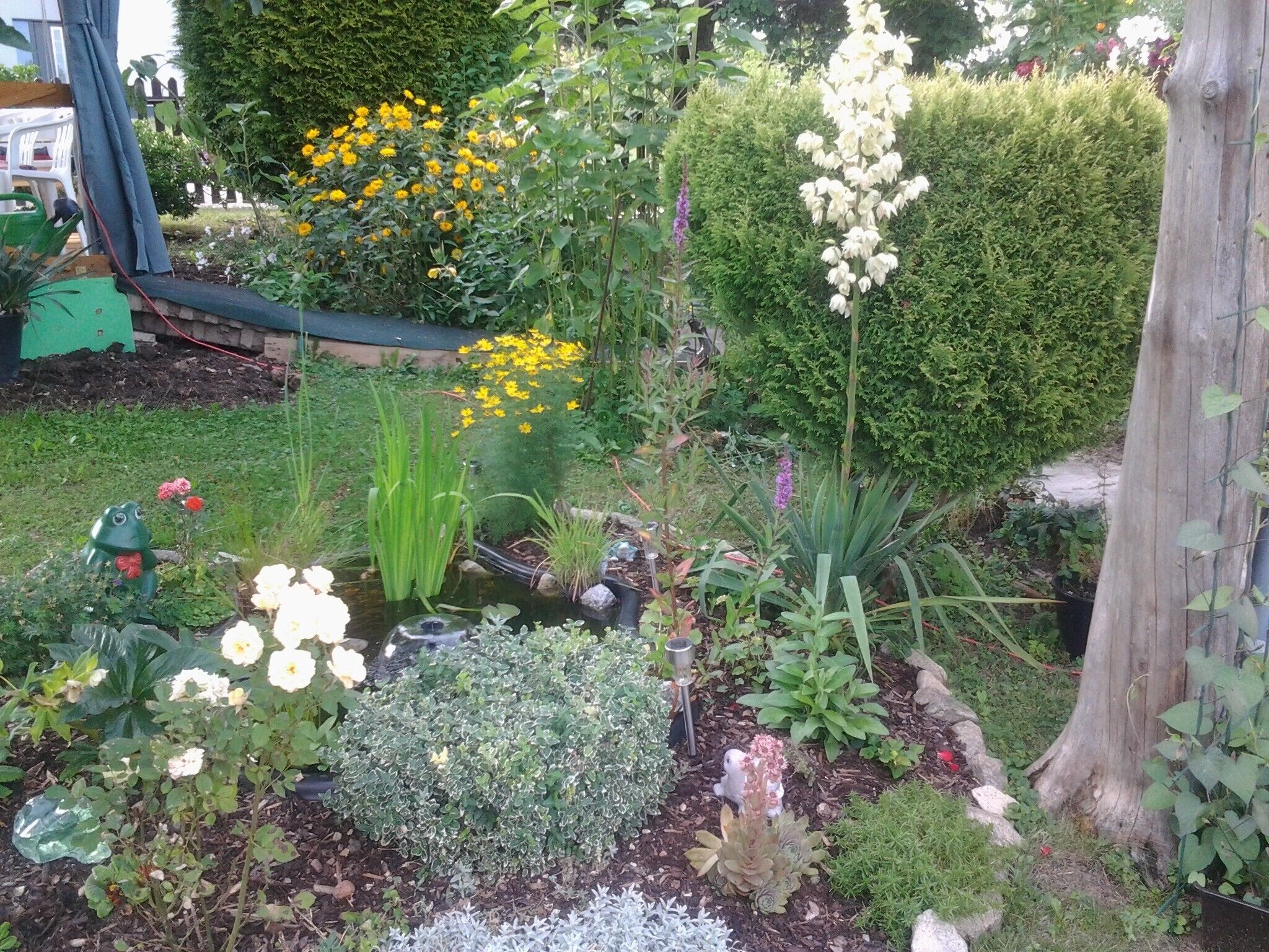 Un jardin agrémenté de diverses plantes, d’un petit étang et d’une statue.