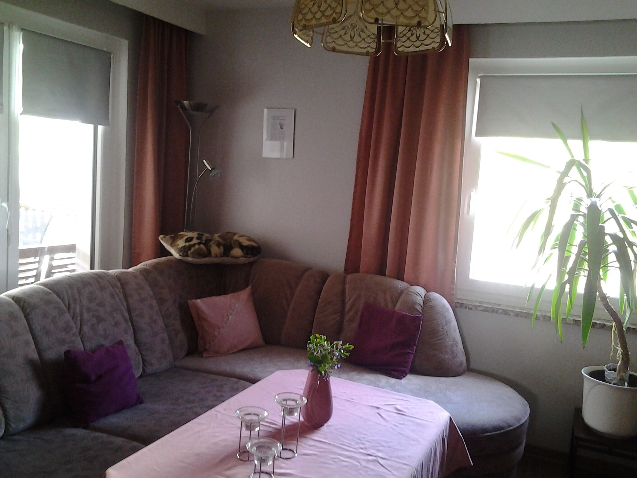 Televisor i reproductor de DVD 