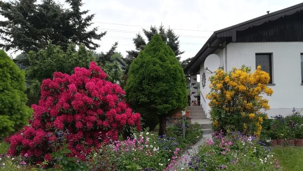 Un jardin où poussent différentes espèces de plantes à fleurs et un bâtiment blanc avec un escalier menant à une porte.