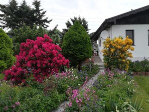 Un jardin où poussent différentes espèces de plantes à fleurs et un bâtiment blanc avec un escalier menant à une porte.