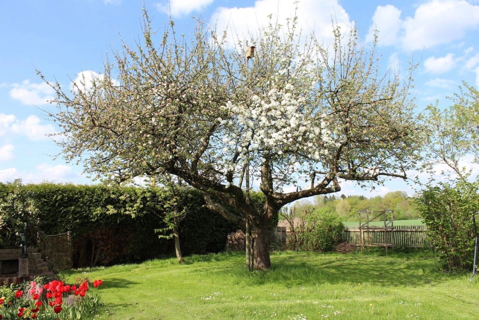 Overnatningsstedets område