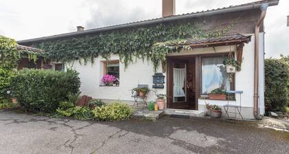 Ferienwohnung 'Haus Rosi' und Werner mit Garten und WLAN