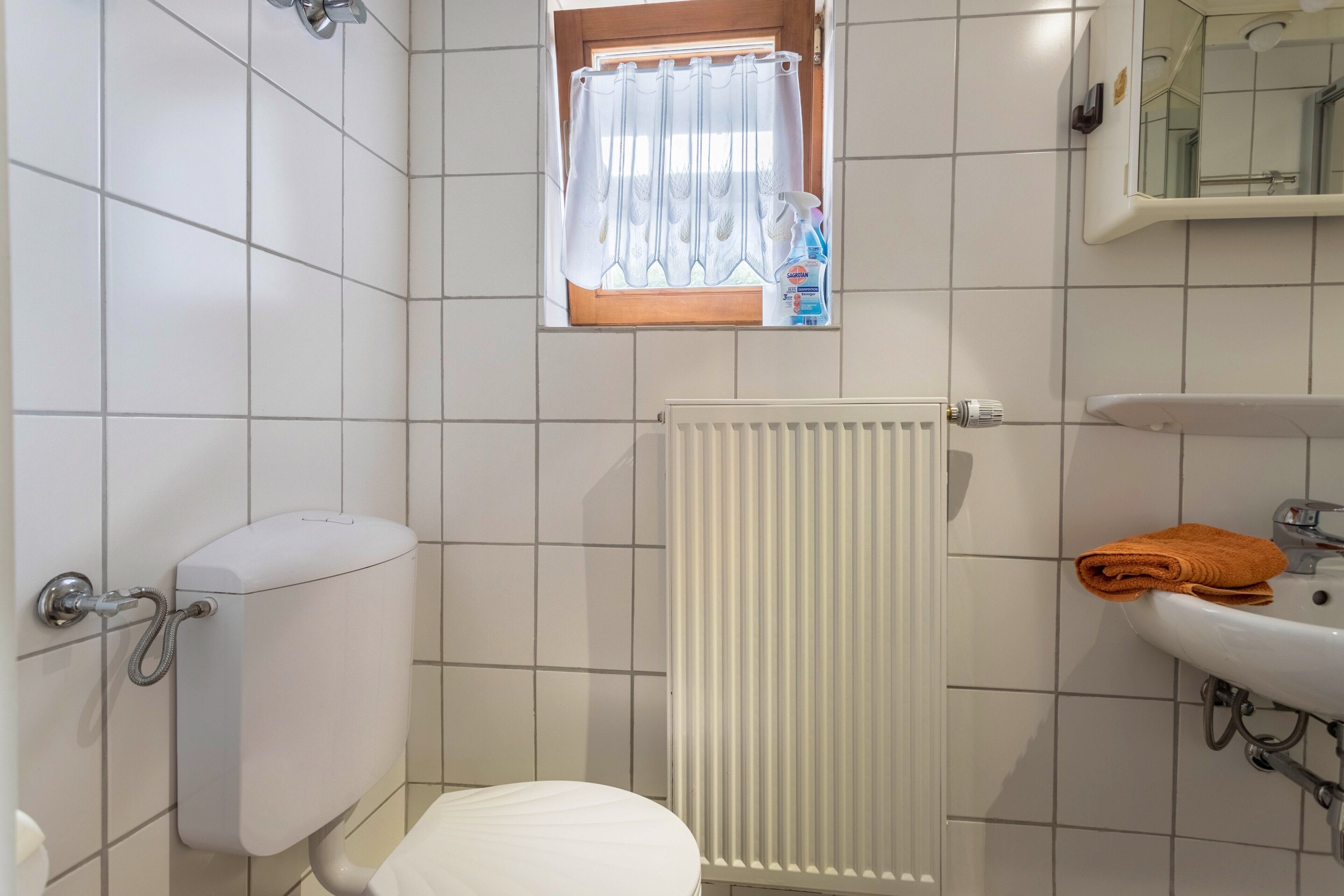 Un bany amb vàter, radiador, rentapisa i finestra amb cortina de dutxa.