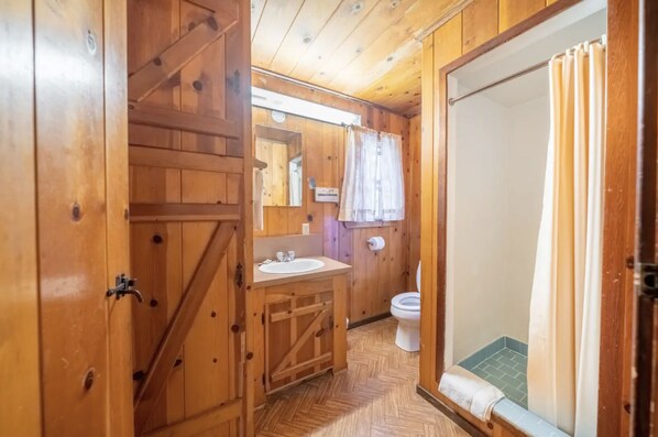 Baño de cabaña de madera con puerta de madera, un lavabo, un inodoro y zona de ducha.