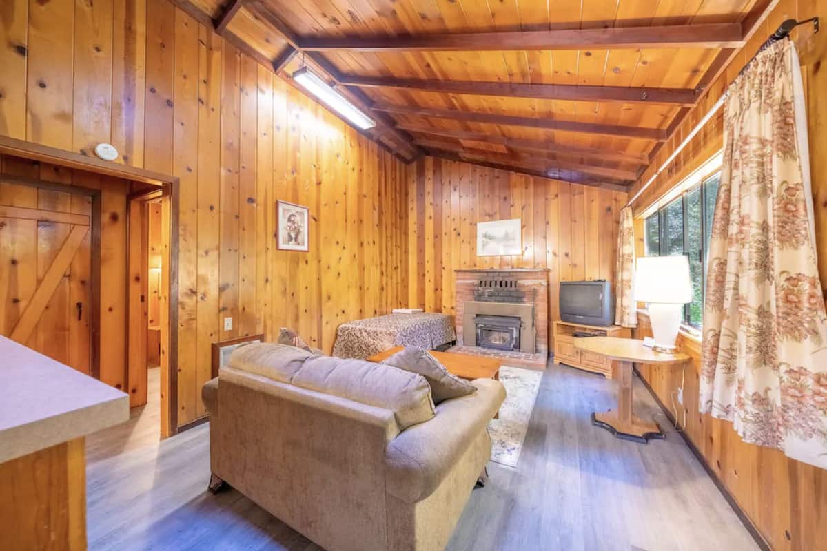 A cozy cabin interior with wooden walls, a sofa, a fireplace, and a television.