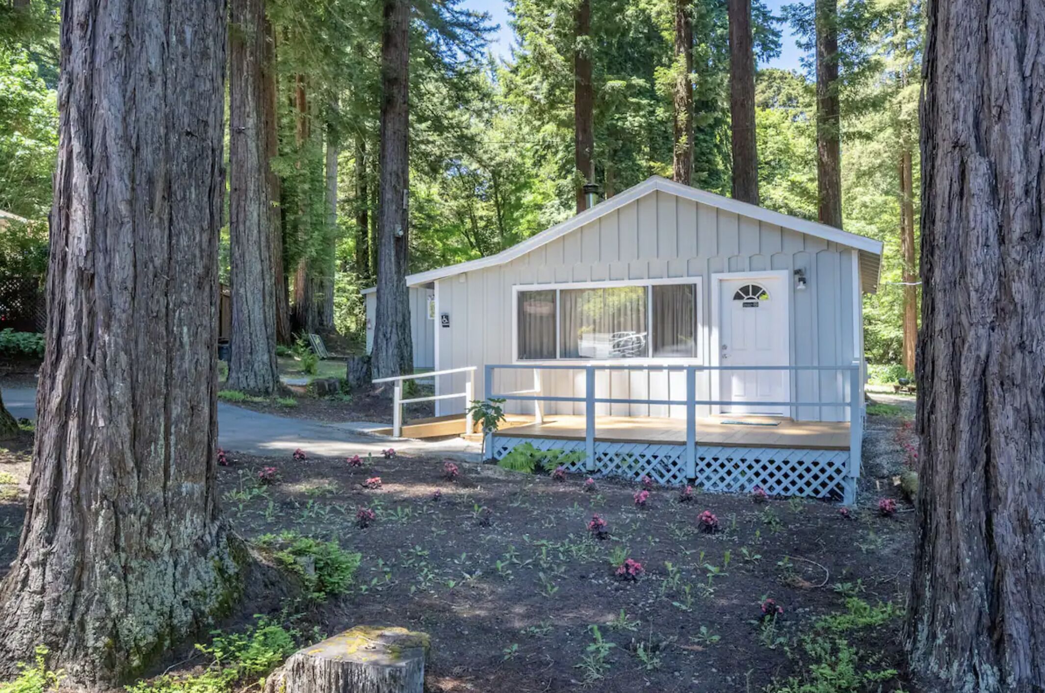 A small cabin with a porch, surrounded by tall trees in a forested area.