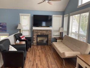 Smart TV, fireplace, DVD player, books