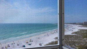 Une vue sur la plage à travers une fenêtre munie d’un moustiquaire, avec une plage de sable et l’océan.