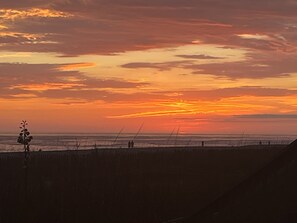 A sunset over a beach with silhouettes of people and a plant. - Original Beach front Cottage (Holden Beach)