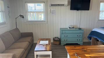Smart TV, fireplace, DVD player, books