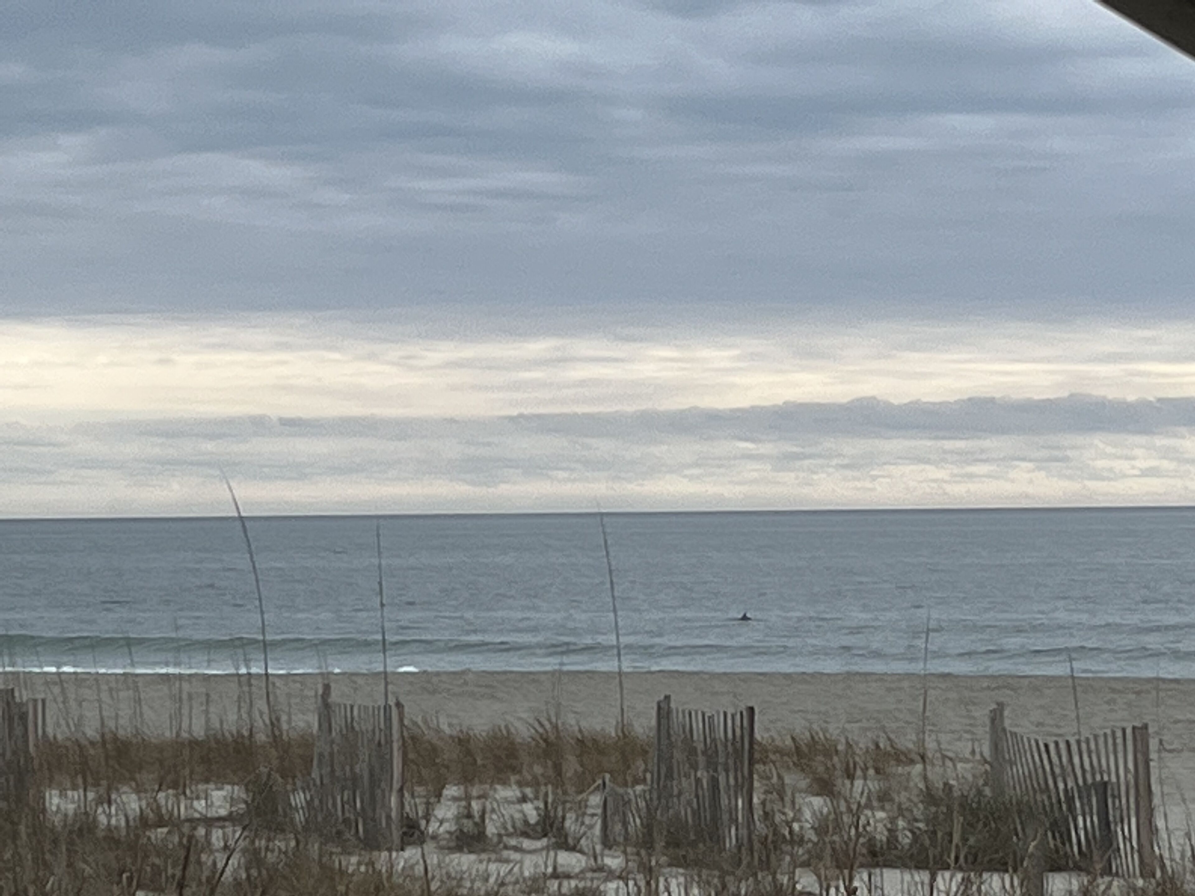 Am Strand, Liegestühle, Strandtücher
