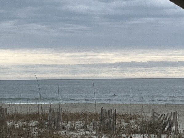 Ubicación a pie de playa, tumbonas y toallas de playa