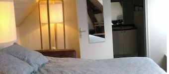 Beau studio avec vue sur Loire