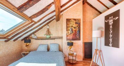 Superb apartment with Loire view under the roofs