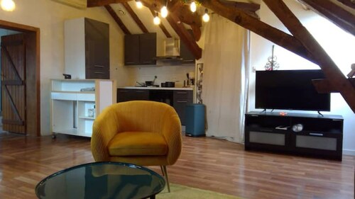 Superb apartment with Loire view under the roofs