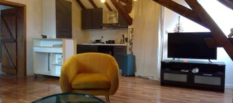 Superb apartment with Loire view under the roofs